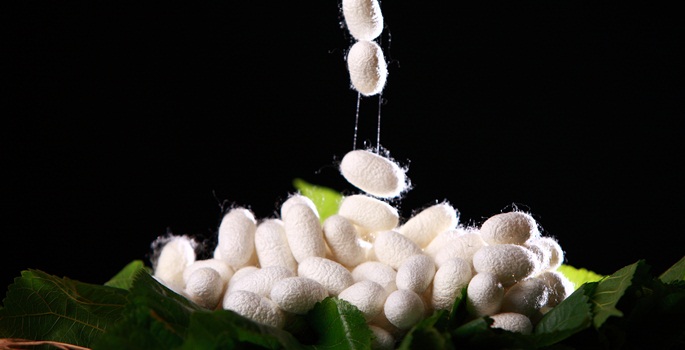 Bayanlar Evlerinde Bunu Yetiştirerek 6 BİN Lira Kazanacaklar