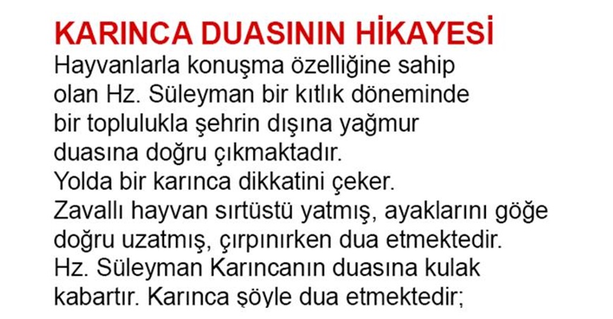 KARINCA DUASININ BÜYÜK SIRRI