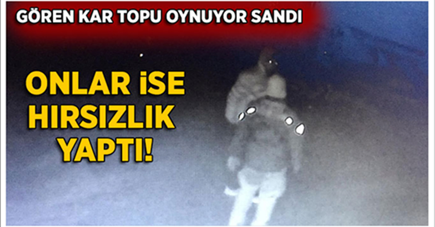 Kar topu oynar gibi yapıp evi soydular