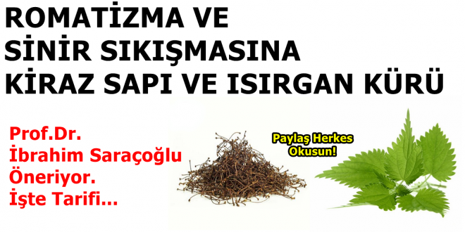 Isırgan ve kiraz sapı kürü ile iltihaplı eklem romatizmasına son!