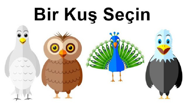 Seçtiğiniz Kuş, Kişiliğinizle İlgili Gerçekleri Ortaya Çıkarıyor