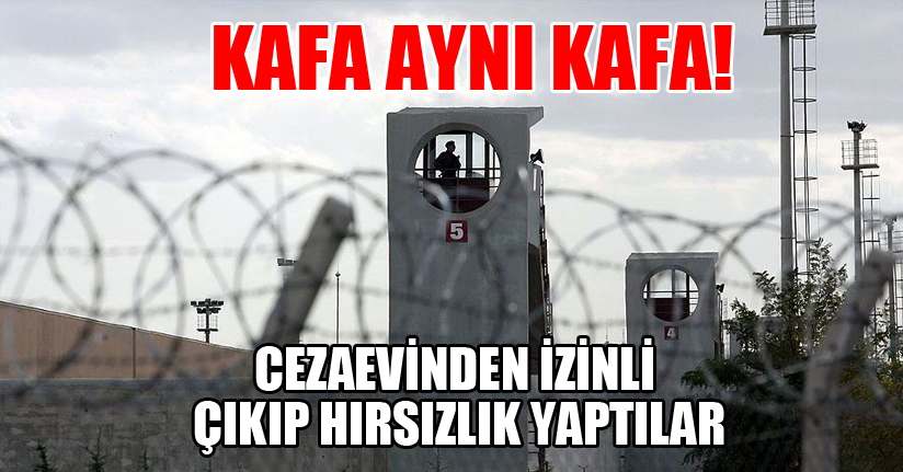Çıktıkları cezaevine geri gittiler