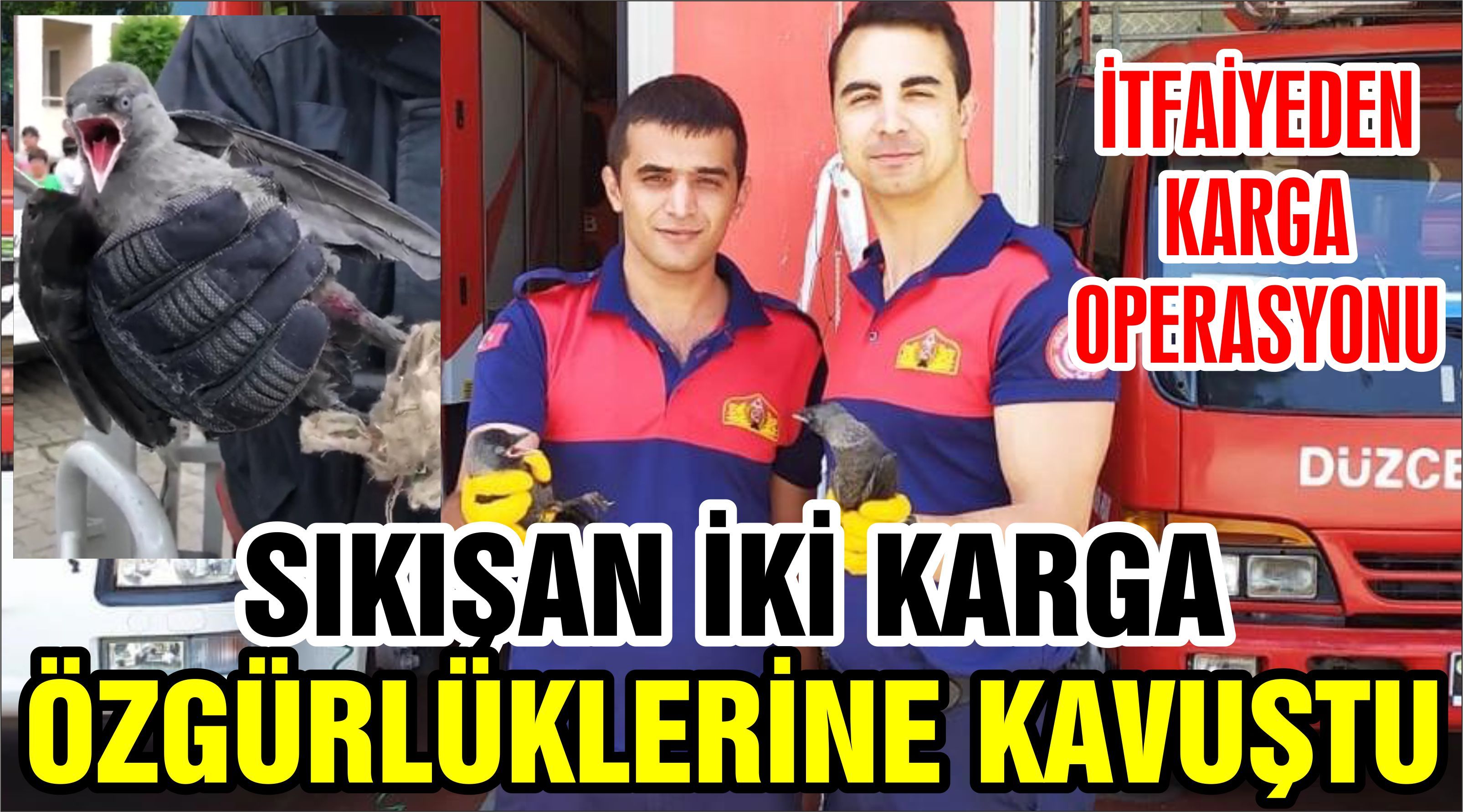 KARGALAR İÇİN SEFERBER OLDULAR