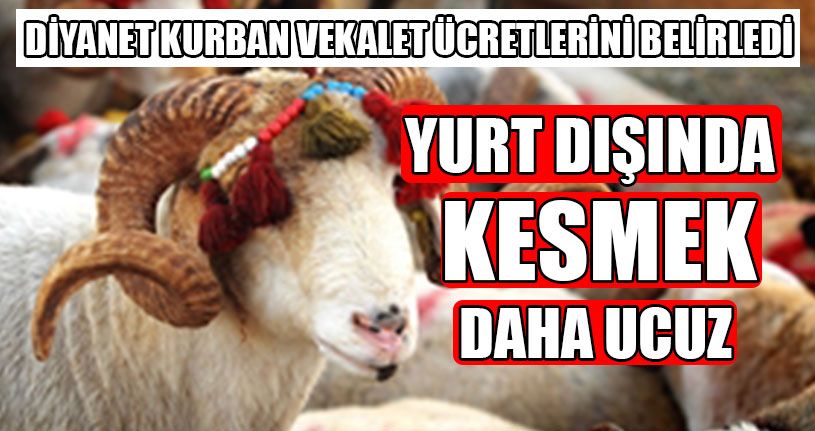 Yurt Dışında Kesmek Daha Ucuz