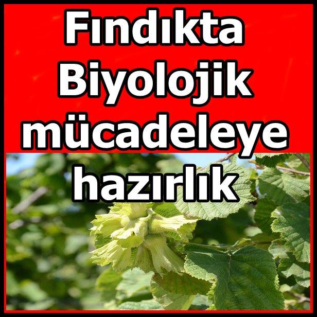Biyolojik mücadeleye hazırlık