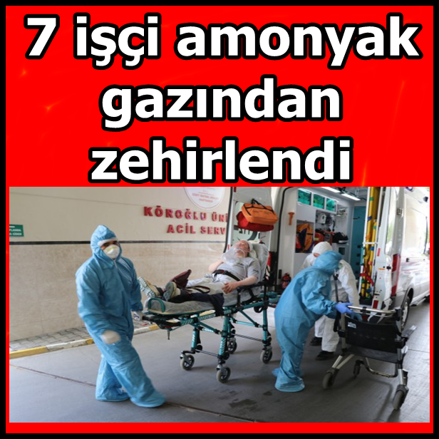 Fabrikada 7 işçi amonyak gazından zehirlendi