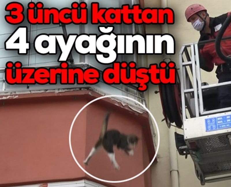 3 üncü kattan 4 ayayğının üzerine düşdü