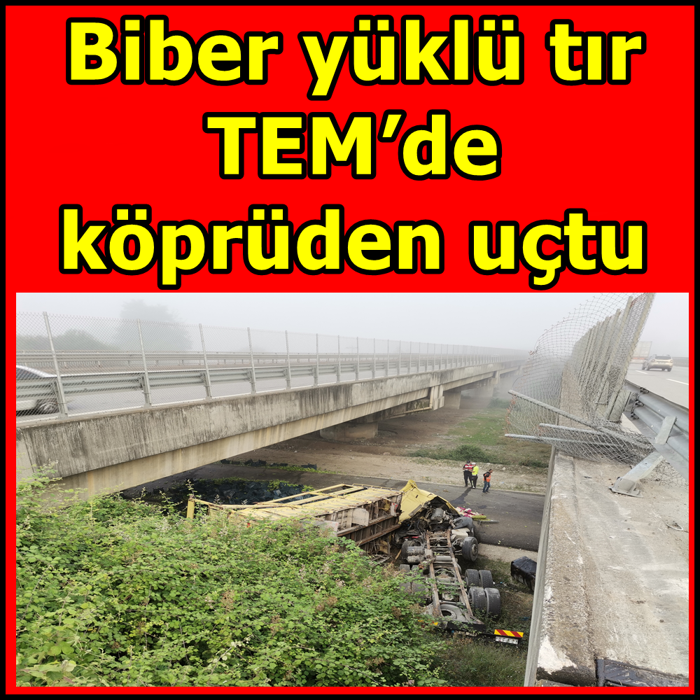 Biber yüklü tır TEM’de köprüden uçtu