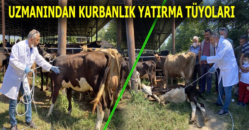 Kurban Yatırmanın Püf Noktaları