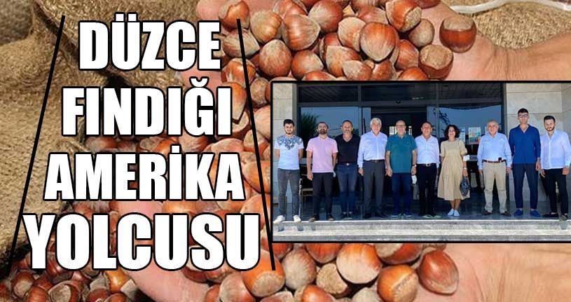 Düzce fındığı yurt dışına açılıyor