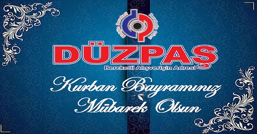 Düzpaş