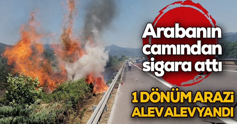 TEM Otoyolu Kenarında Kuruyan Otlar Yandı