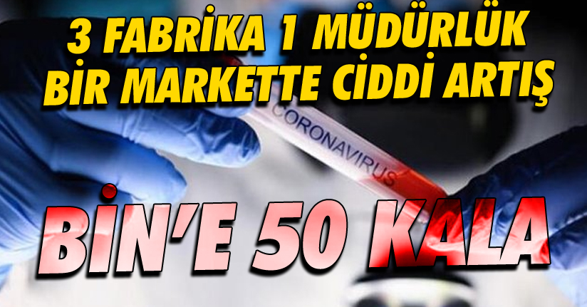 Düzce'de Korona virüs vakaları artışa geçti