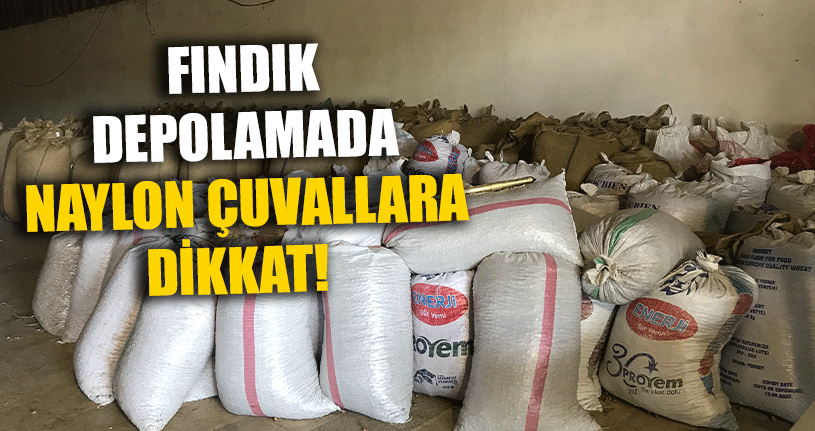 Fındık Depolamada Naylon Çuvallara Dikkat