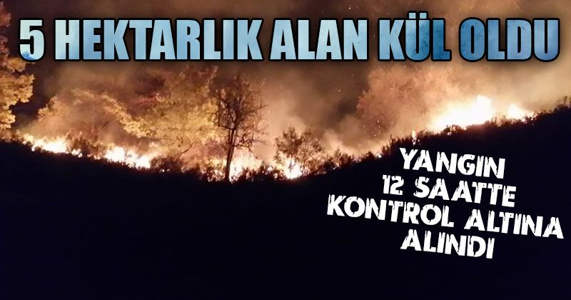 5 Hektarlık Alan Kül Oldu