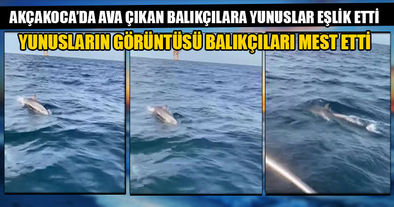 Ava Çıkan Balıkçılara Yunuslar Eşlik Etti
