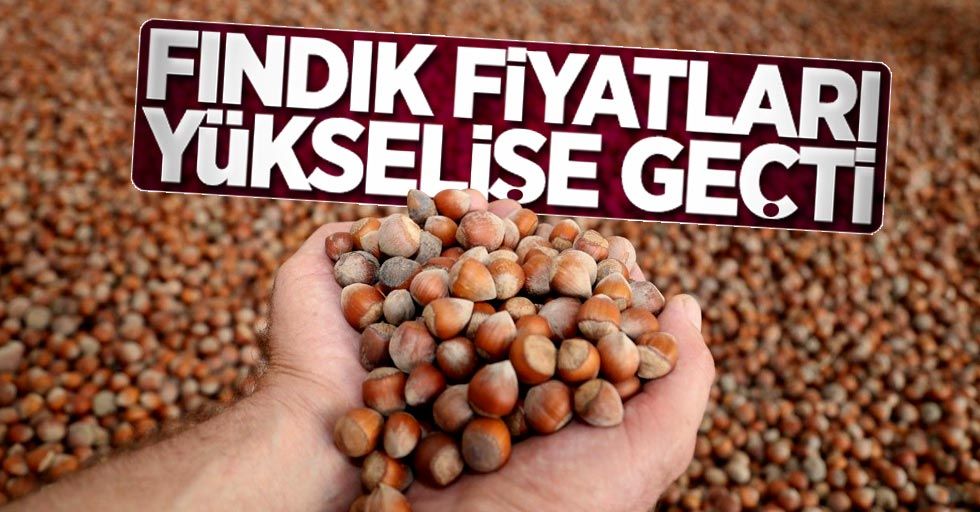 Türkiye’nin en yüksek fındık alımı Düzce’de yapılıyor