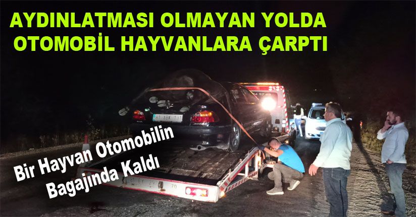 Karanlık yolda faciadan dönüldü