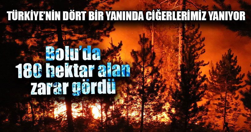 Türkiye’nin Dört Bir Yanında Ciğerlerimiz Yanıyor