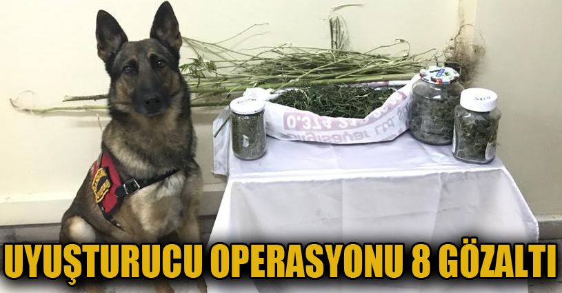 Bolu’da uyuşturucu operasyonu: 8 gözaltı