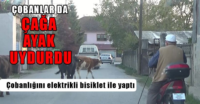 Çobanlar Da Teknolojiye Ayak Uydurdu