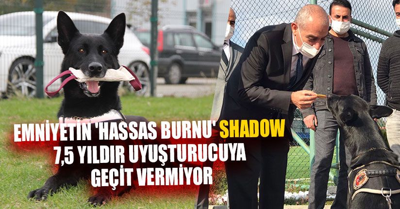 8 Yılda 1,5 Ton Uyuşturucu Madde Ele Geçirildi