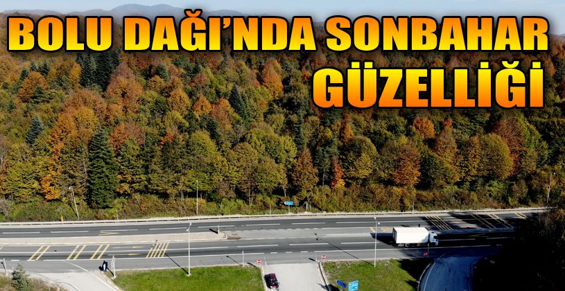 Bolu Dağı’nda sonbahar güzelliği