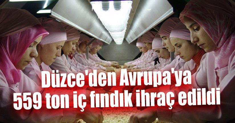 AB Ülkelerine Fındık İhracatı Sürüyor
