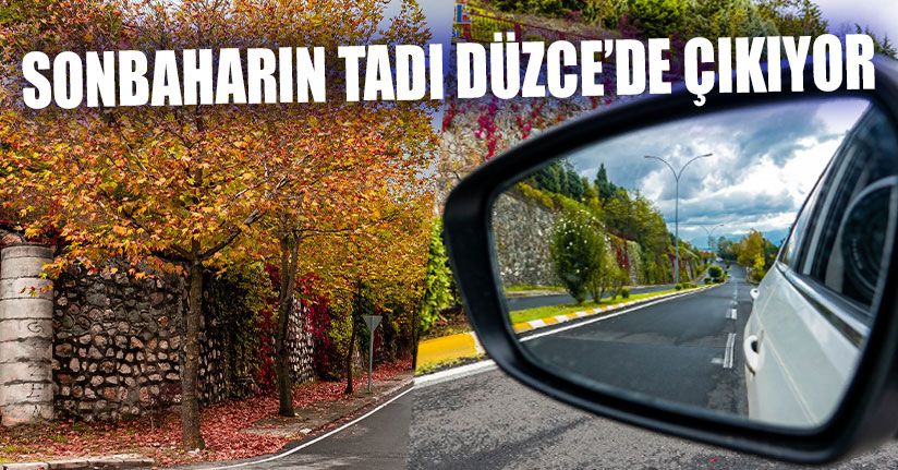 Sonbaharın Tadı Düzce’de Çıkıyor