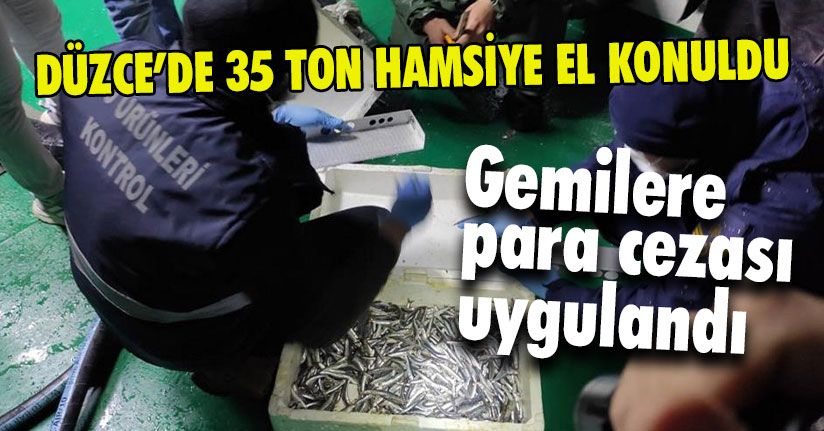 Boyları küçük olan hamsilere el konuldu