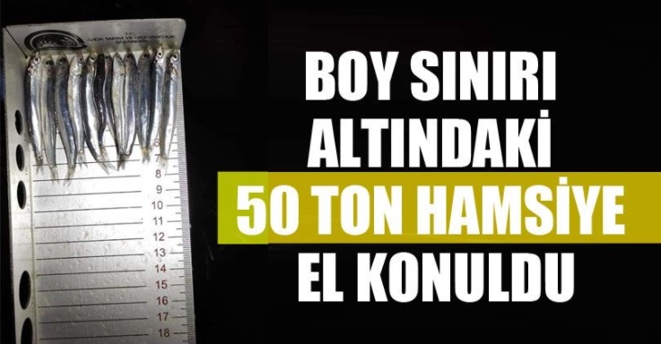 50 Ton Hamsiye El Konuldu