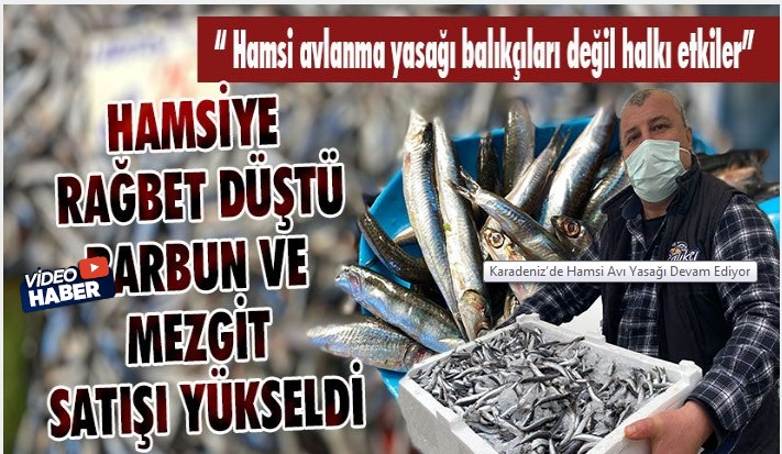 Karadeniz’de Hamsi Avı Yasağı Devam Ediyor