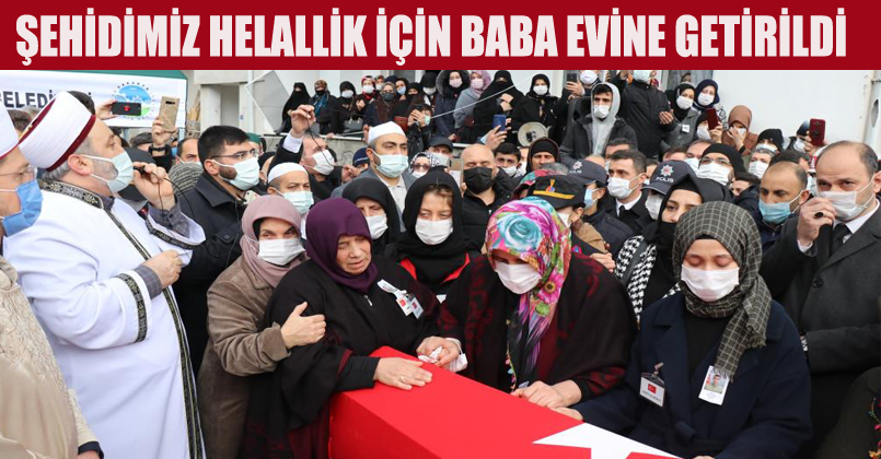 Şehit Gedik, helallik için baba evine getirild