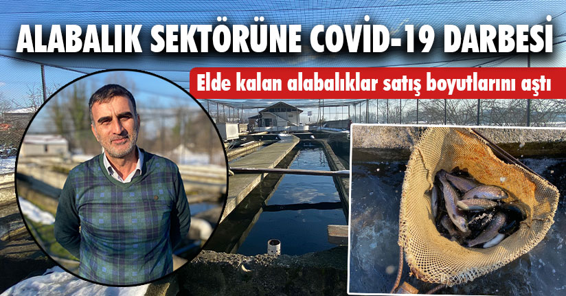 Alabalık Sektörüne Covid-19 Darbesi