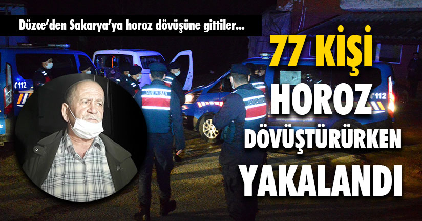 Horoz Dövüştürürken Yakalandılar