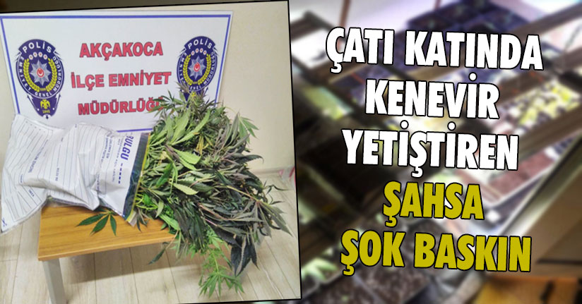 Akçakoca’da Uyuşturucu Operasyonu