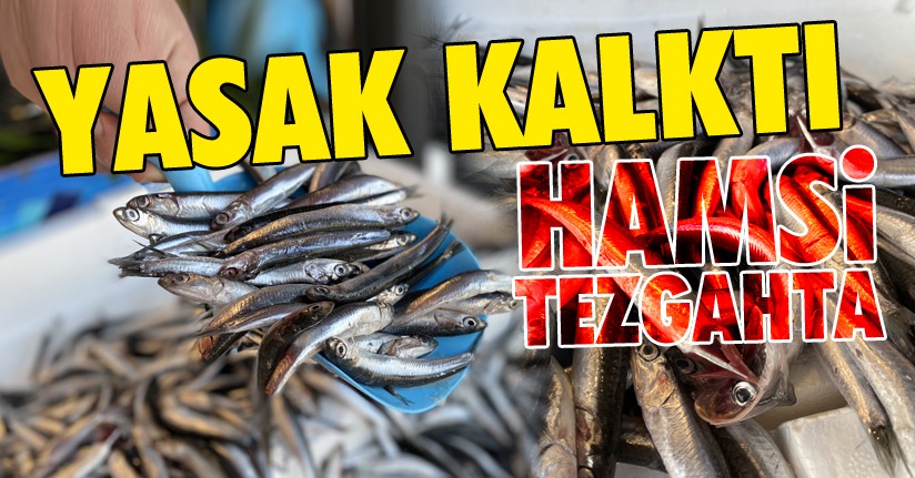 Balık tezgahları hamsi ile şenlendi