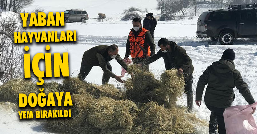 Yaban Hayvanları İçin Doğaya Yem Bırakıldı