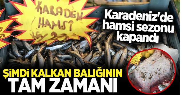 Karadeniz'de hamsi çekildi, sezon kapandı