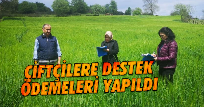 Çiftçiye Destek Ödemesi