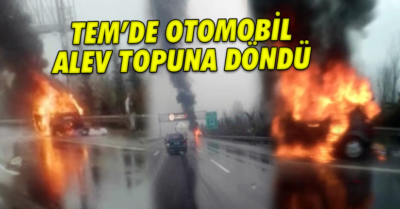 CANLARINI ZOR KURTARDILAR