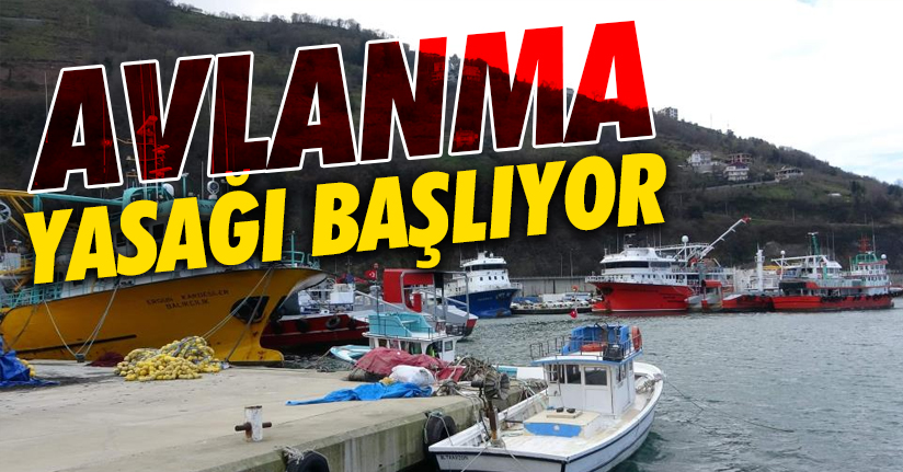 Düzce’de balık avı yasağı başlıyor