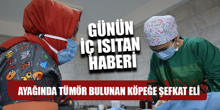 Ayağında Tümör Bulunan Köpeğe Şefkat Eli