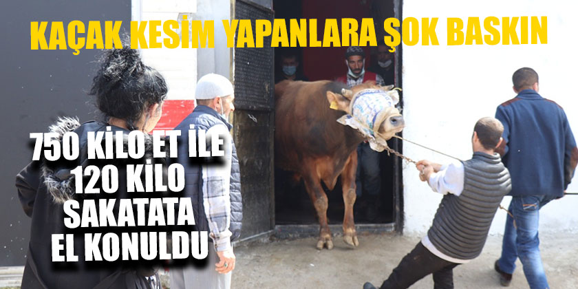 Kaçak Kesim Yapanlara Şok Baskın