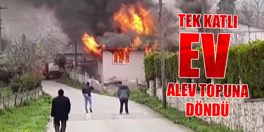 Ev Alev Topuna Döndü