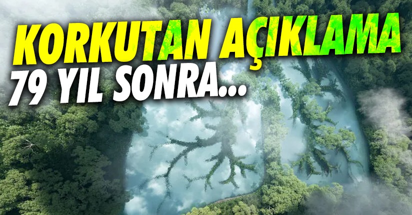 Korkutan açıklama: 2100 yılında oksijen sıkıntısı çekeceğiz