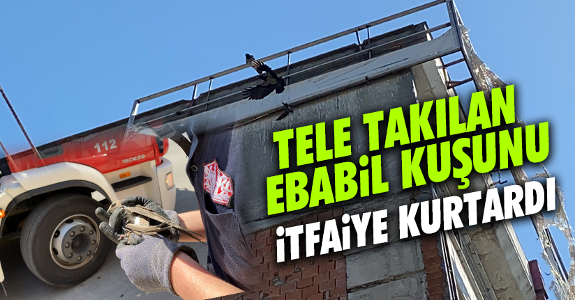 Sıkışan kuş itfaiyeyi harekete geçirdi