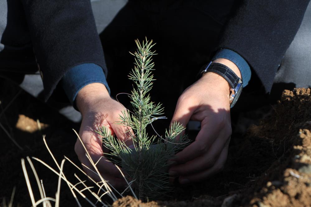 Bahçeşehir Kolejinden Fidan kampanyasına destek