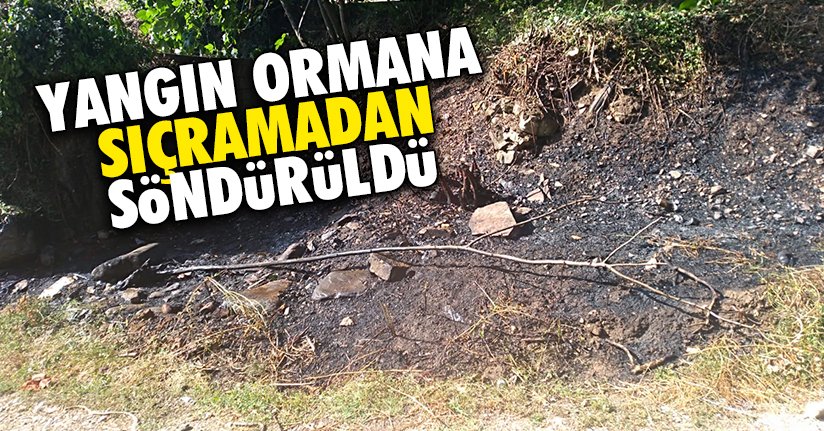 Orman yangınını Cumayeri itfaiyesi önledi