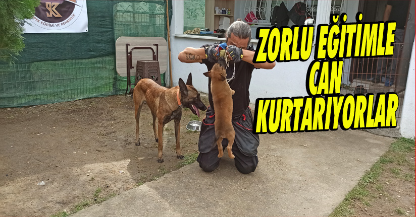 Enkaz Altından Can Kurtarıyorlar